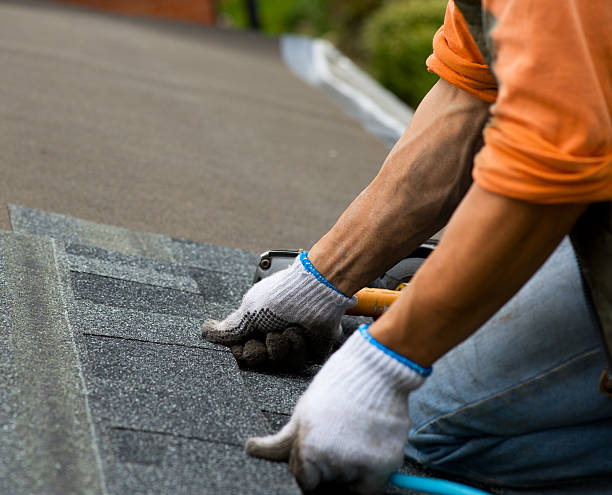 Best Local Roofing Companies  in Moscow, PA
